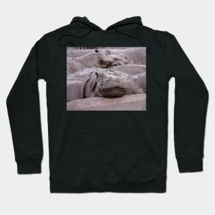 Wallowing Hippos (Serengeti) #1 Hoodie